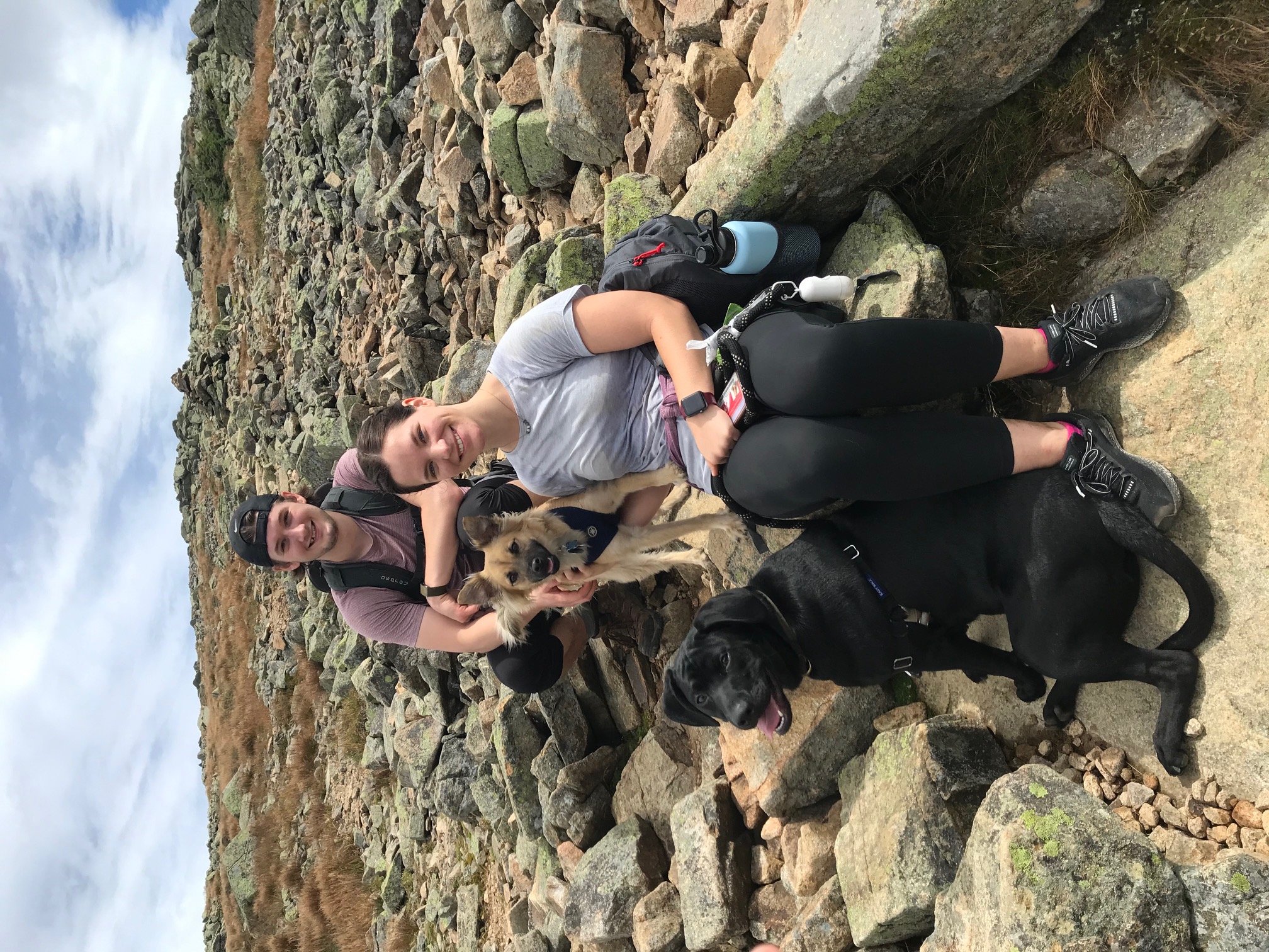 A New Hampshire Hike with the Dogs